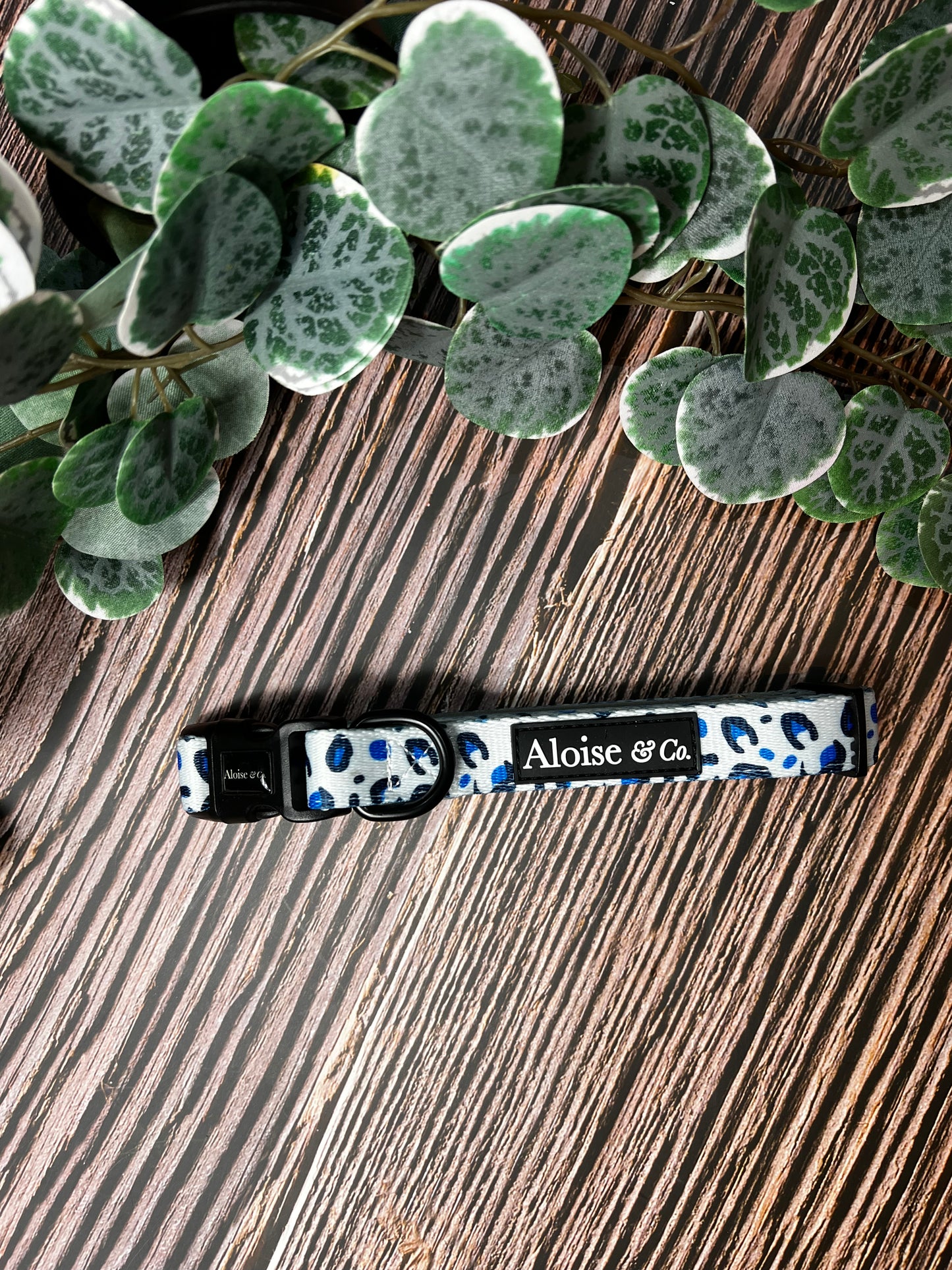 White Leopard - Dog Collar