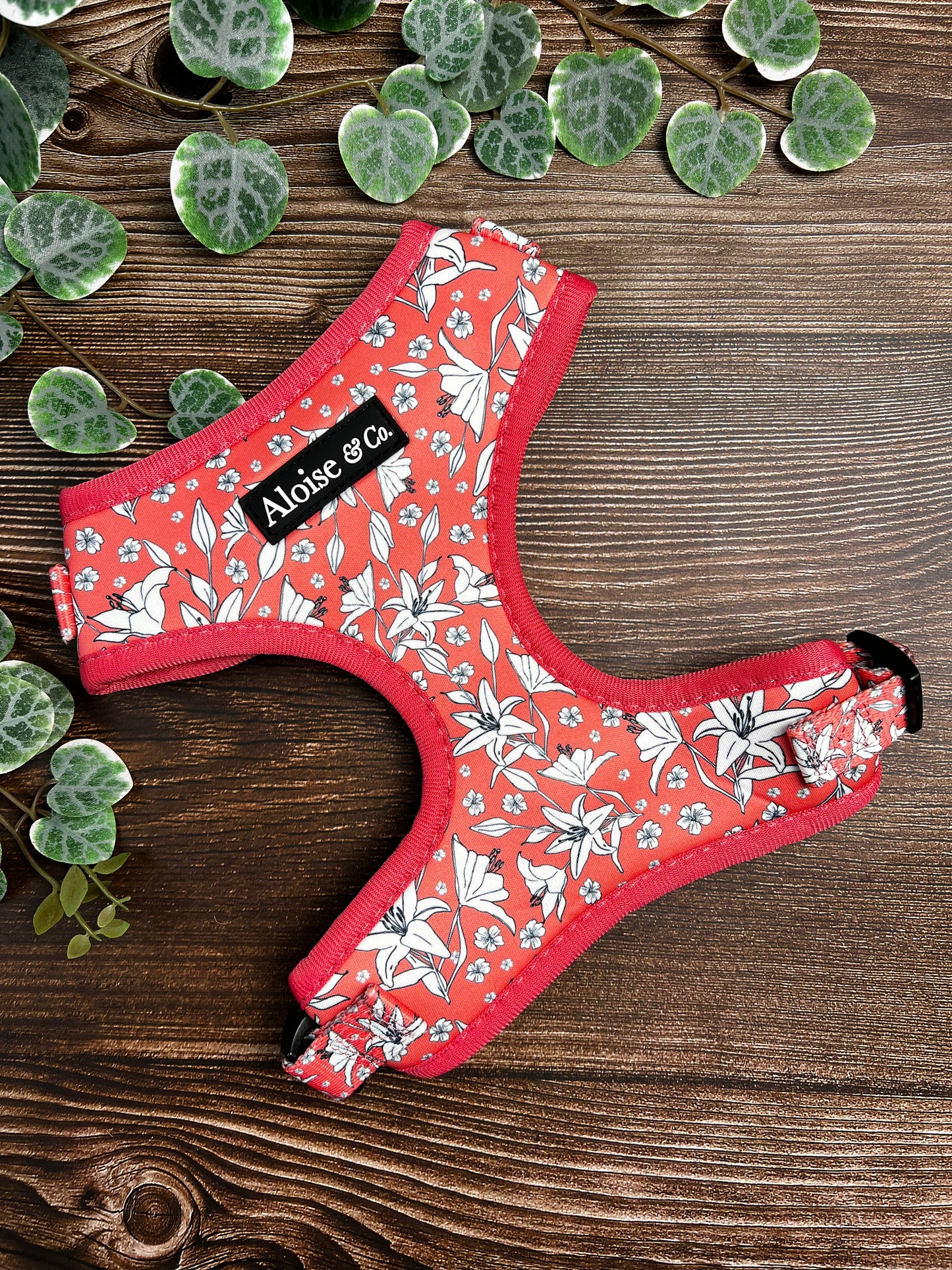 Adjustable Dog Harness - Little lilies