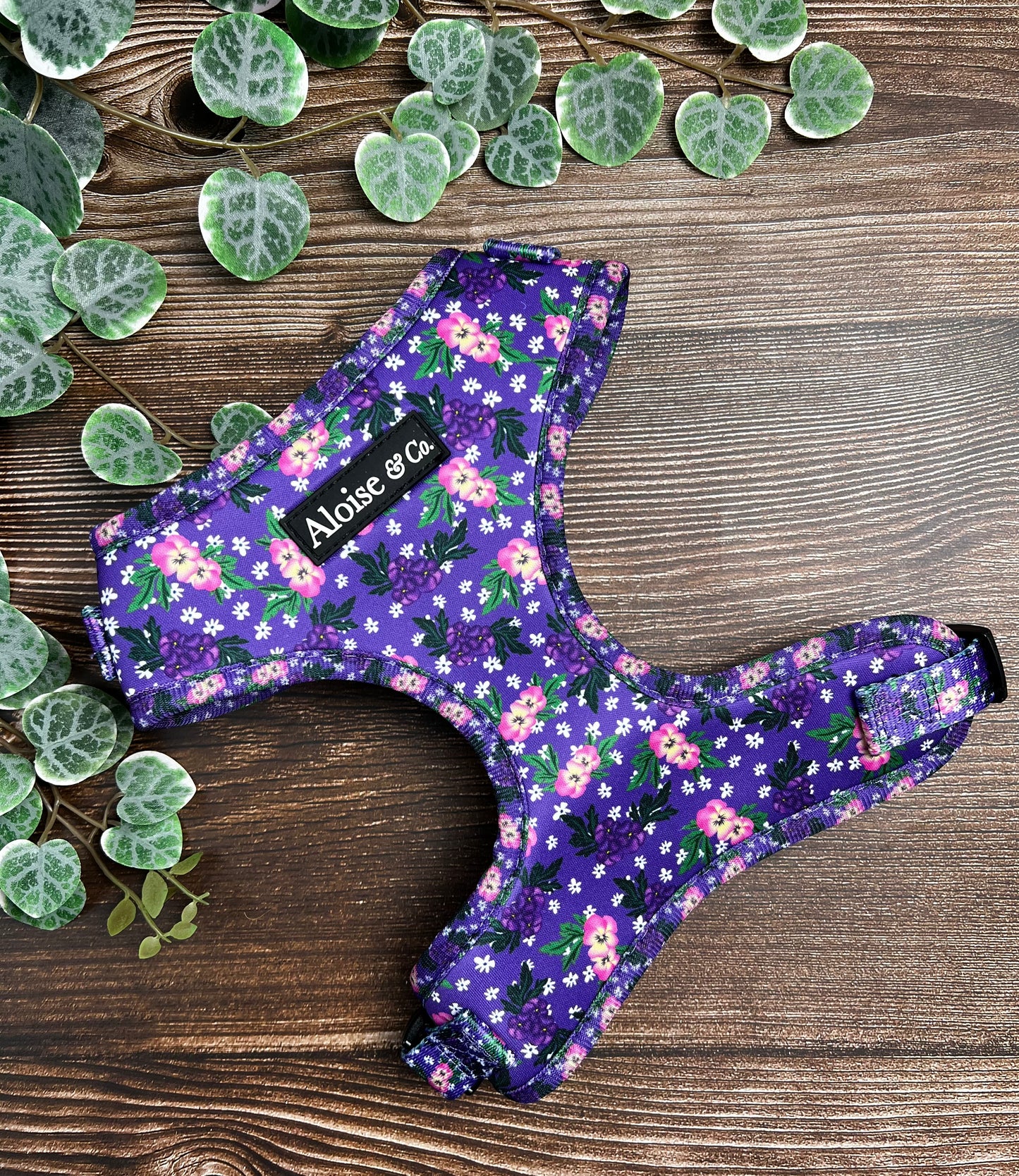 Adjustable Dog Harness - Purple Pansies