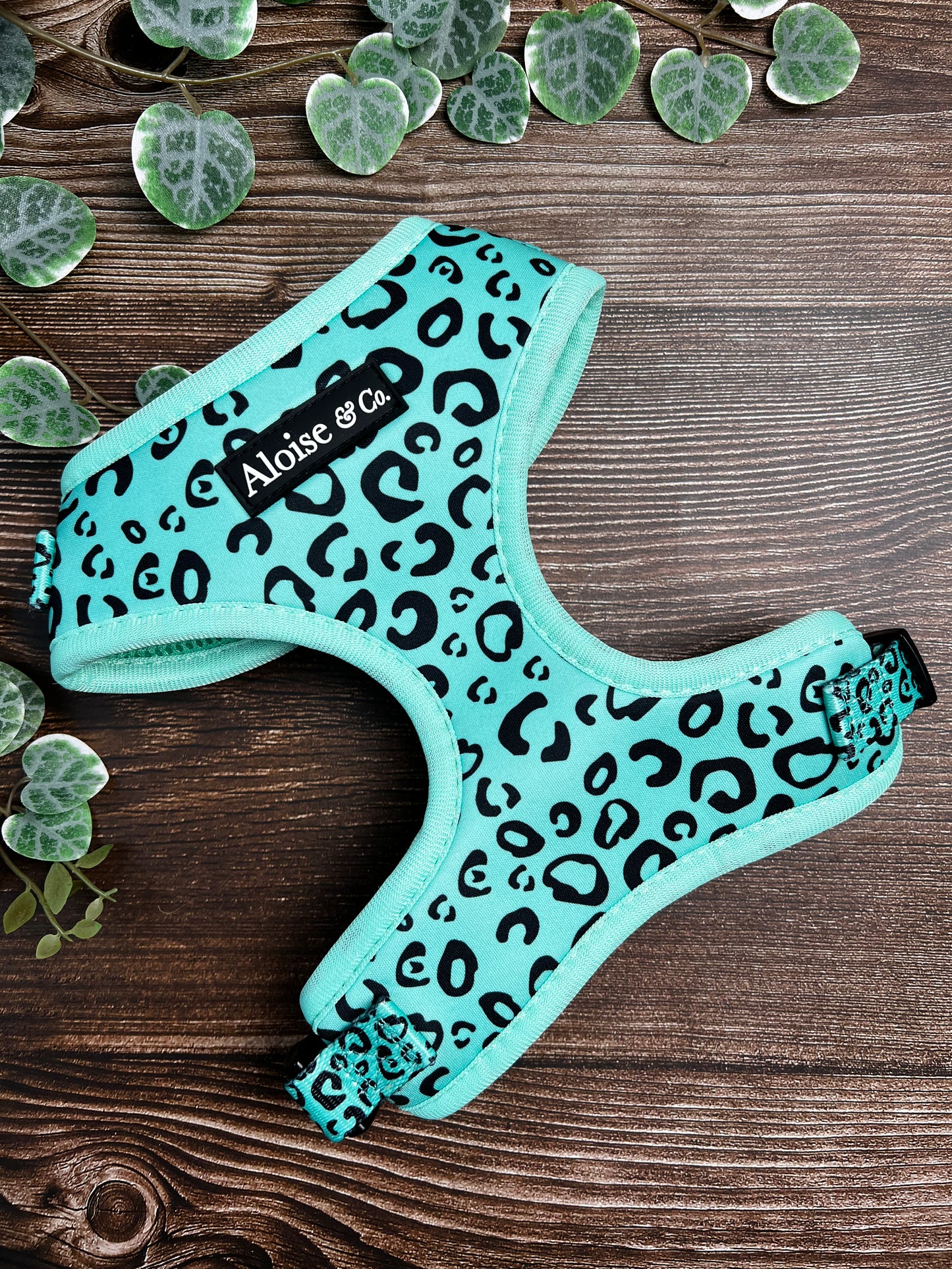 Adjustable Dog Harness - Minty Madness