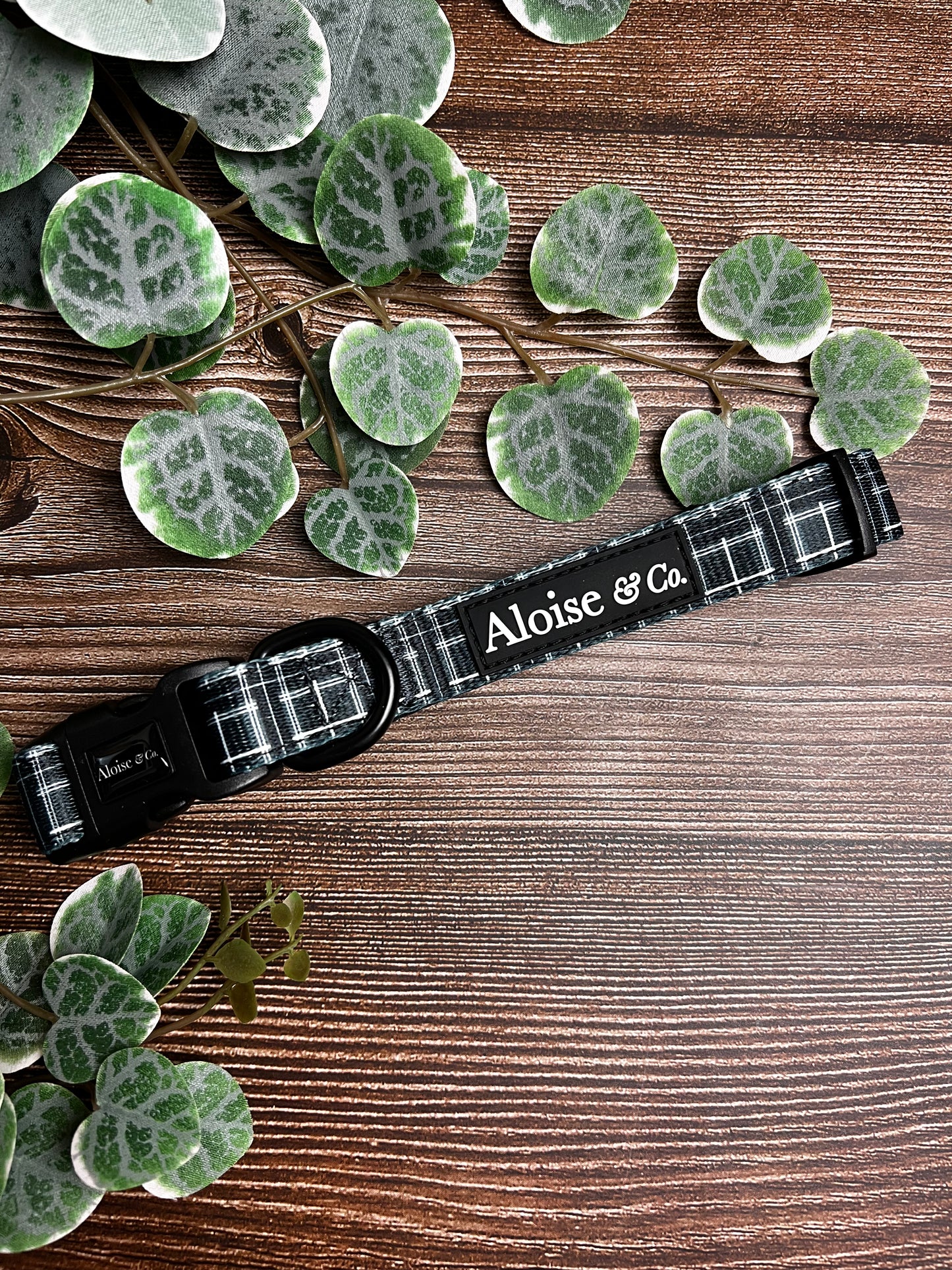 Black Tartan - Dog Collar