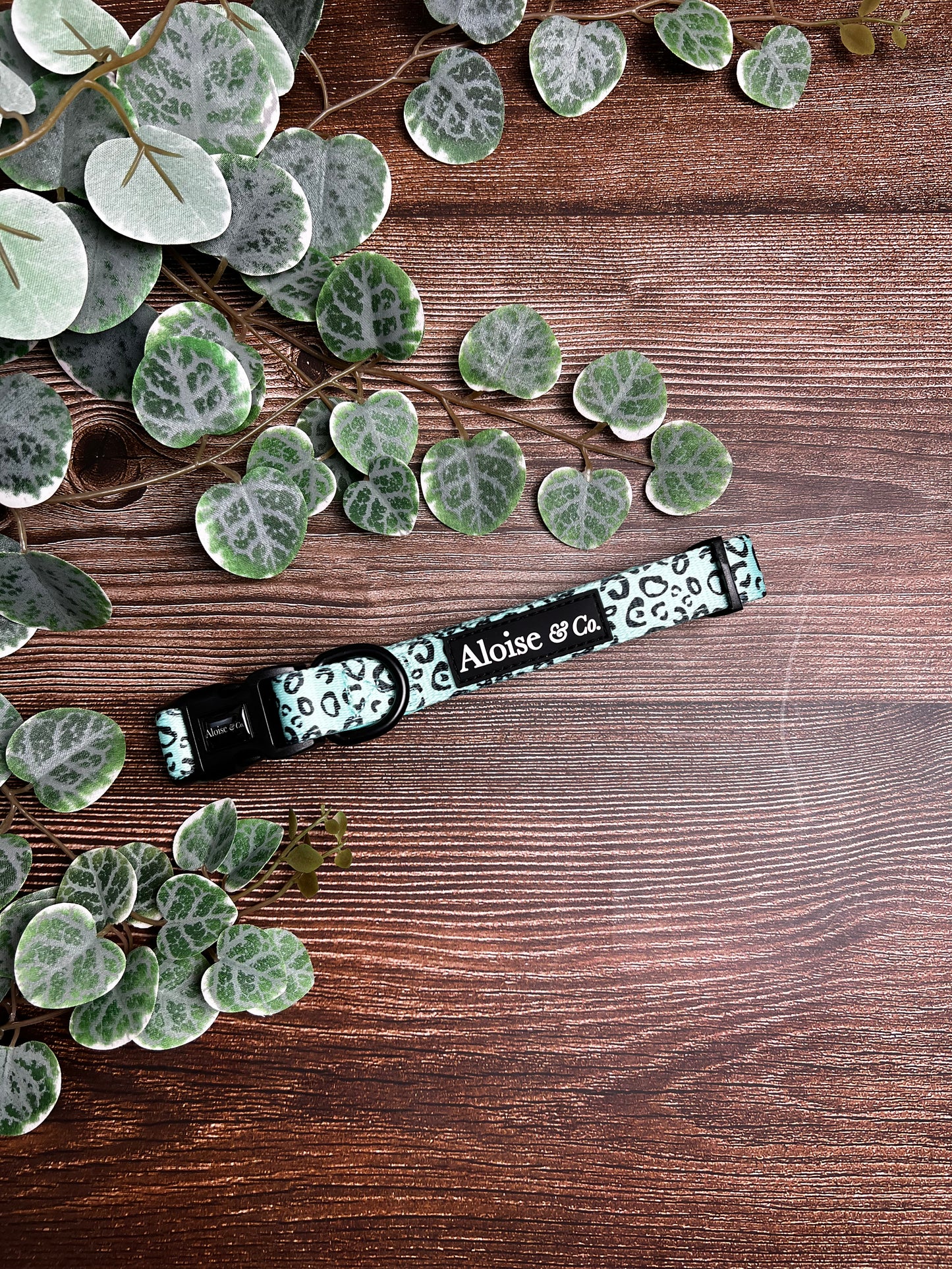 Minty Madness - Dog Collar