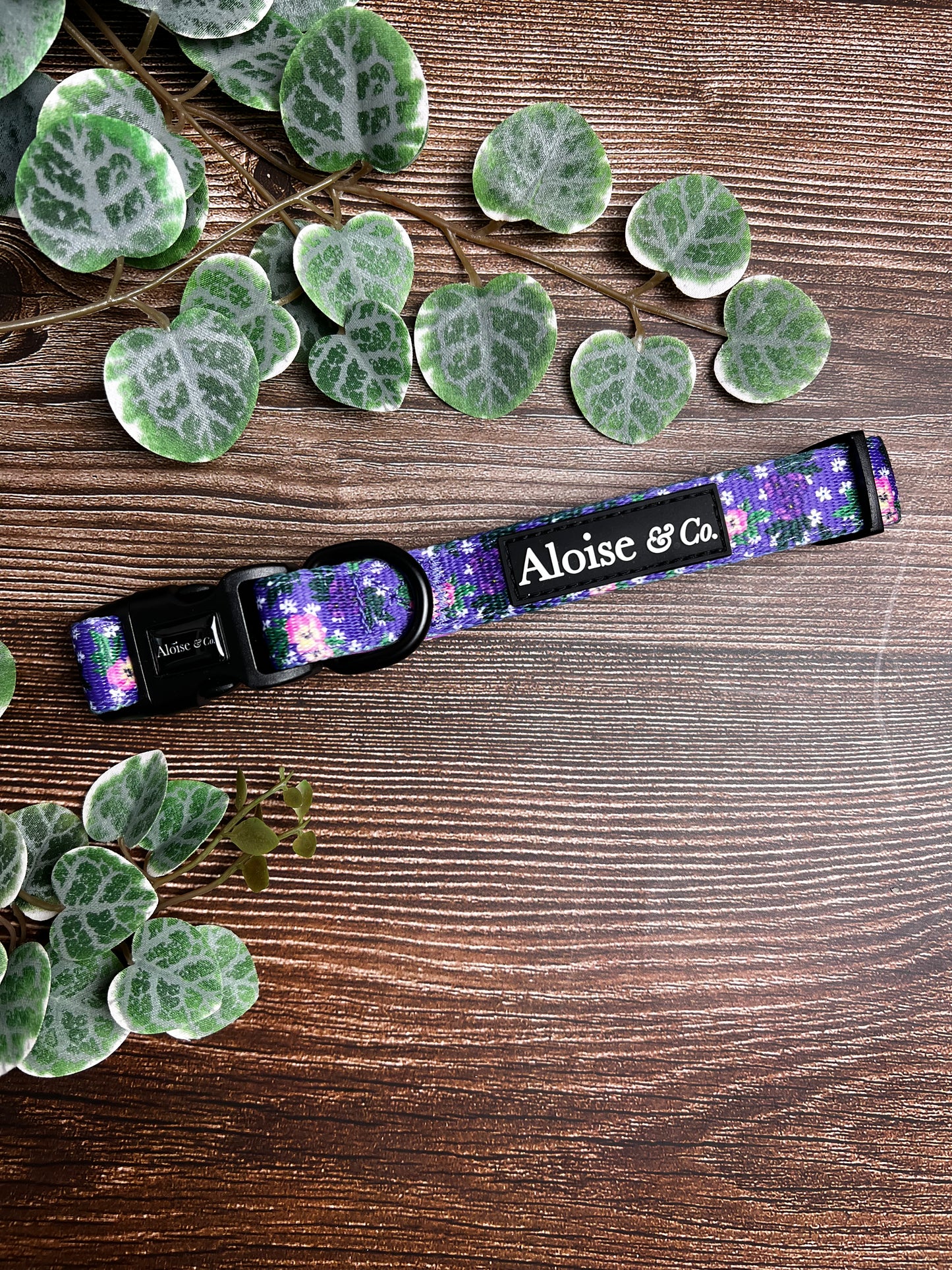 Purple Pansie - Dog Collar