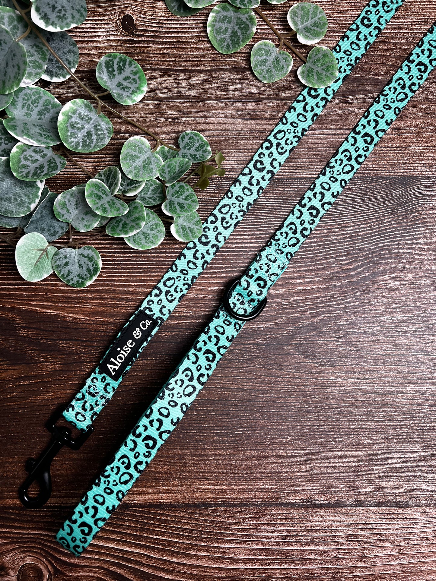 Dog lead - minty Madness