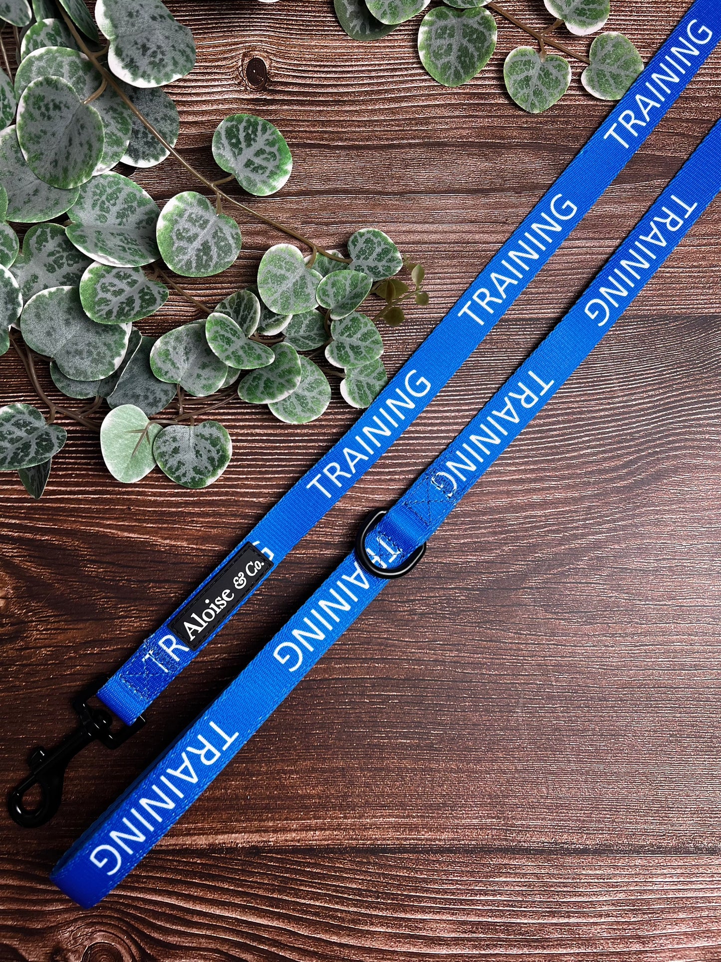 Dog Lead - Training