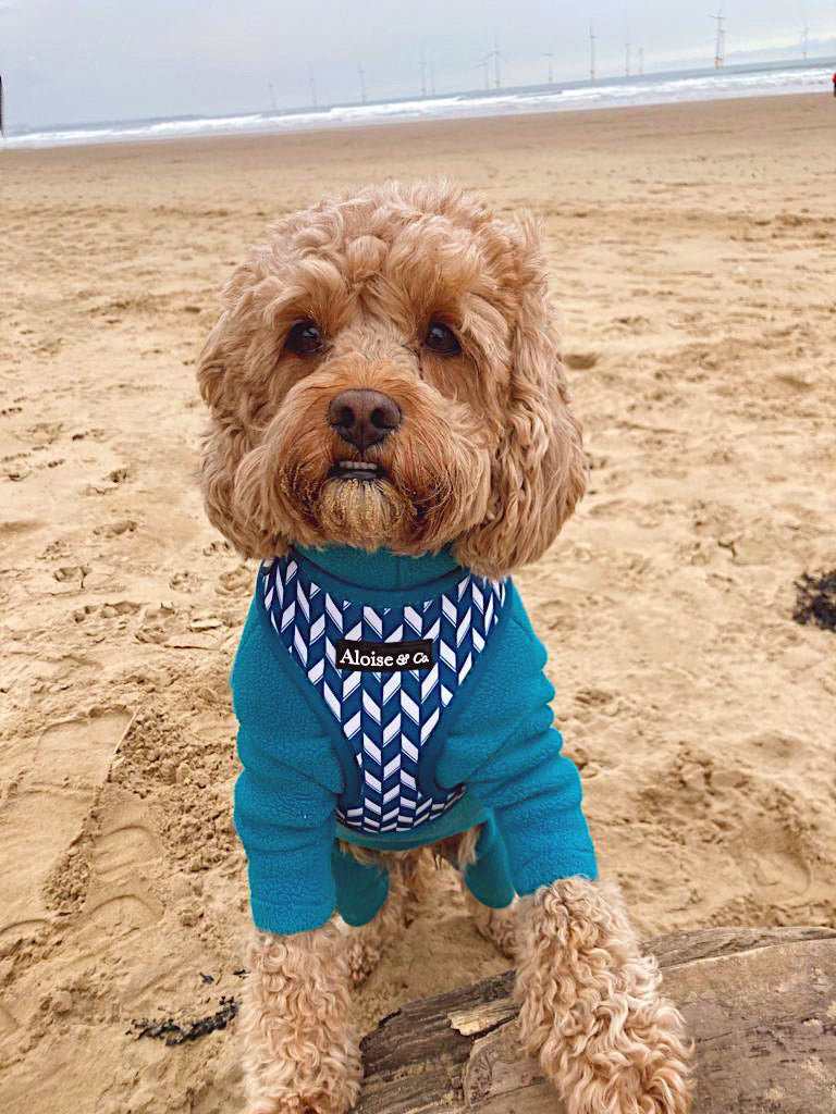 Adjustable Dog Harness - Handsome in Herringbone