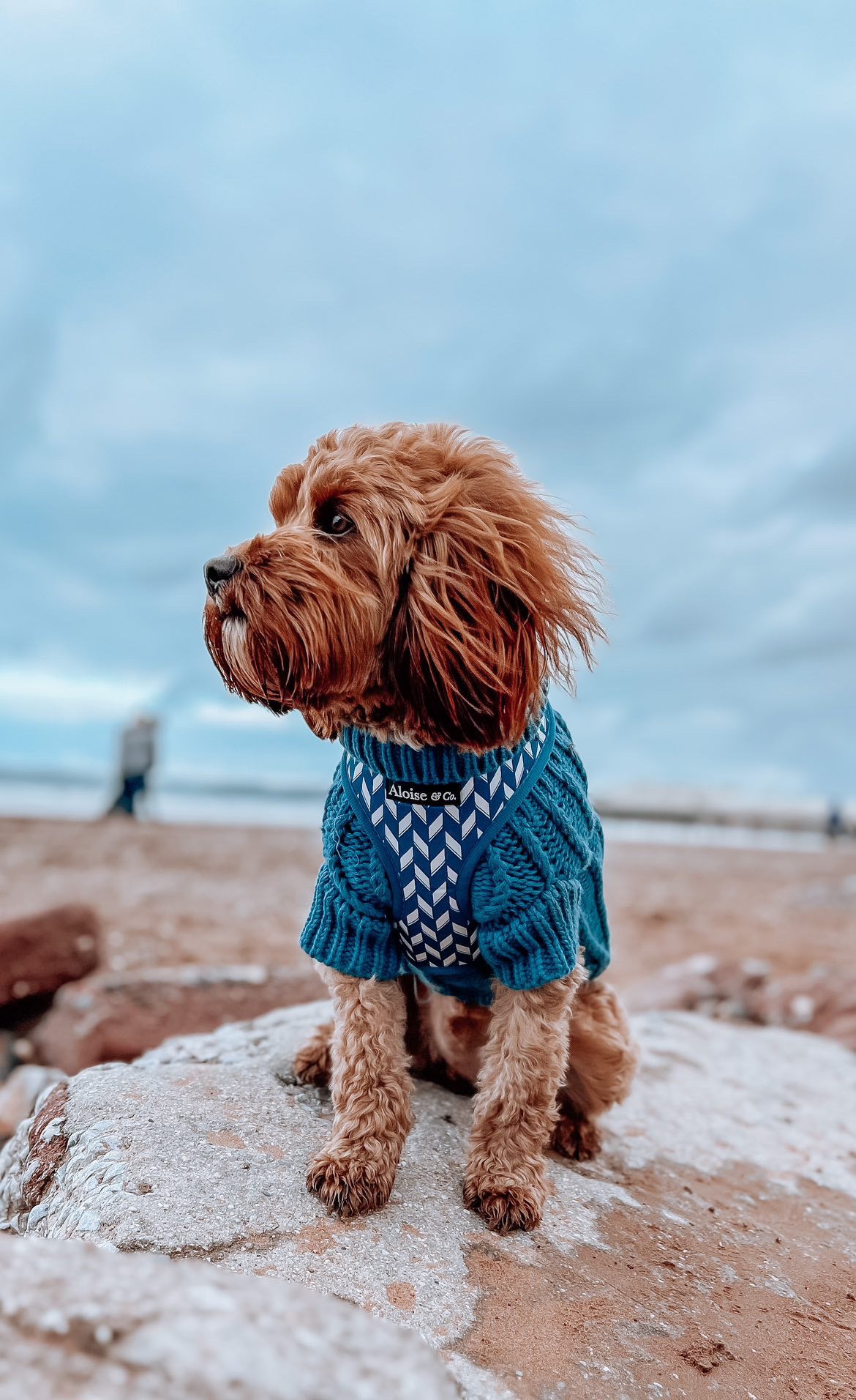 Adjustable Dog Harness - Handsome in Herringbone