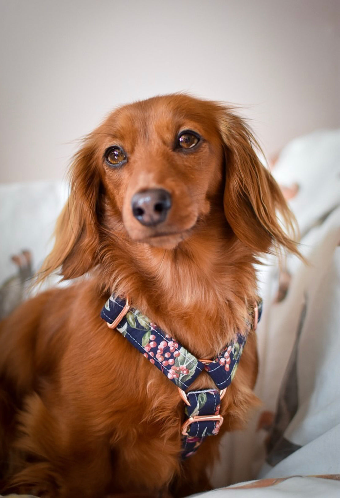 Maisy Strap Harness