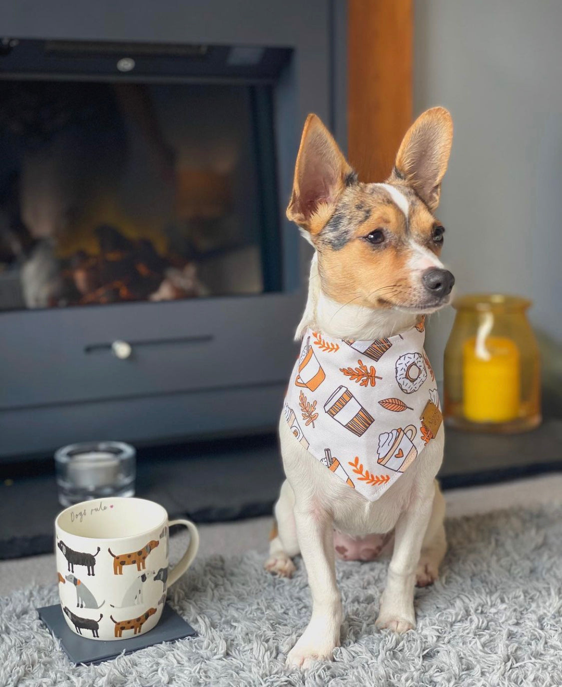 Pupuccino Bandana