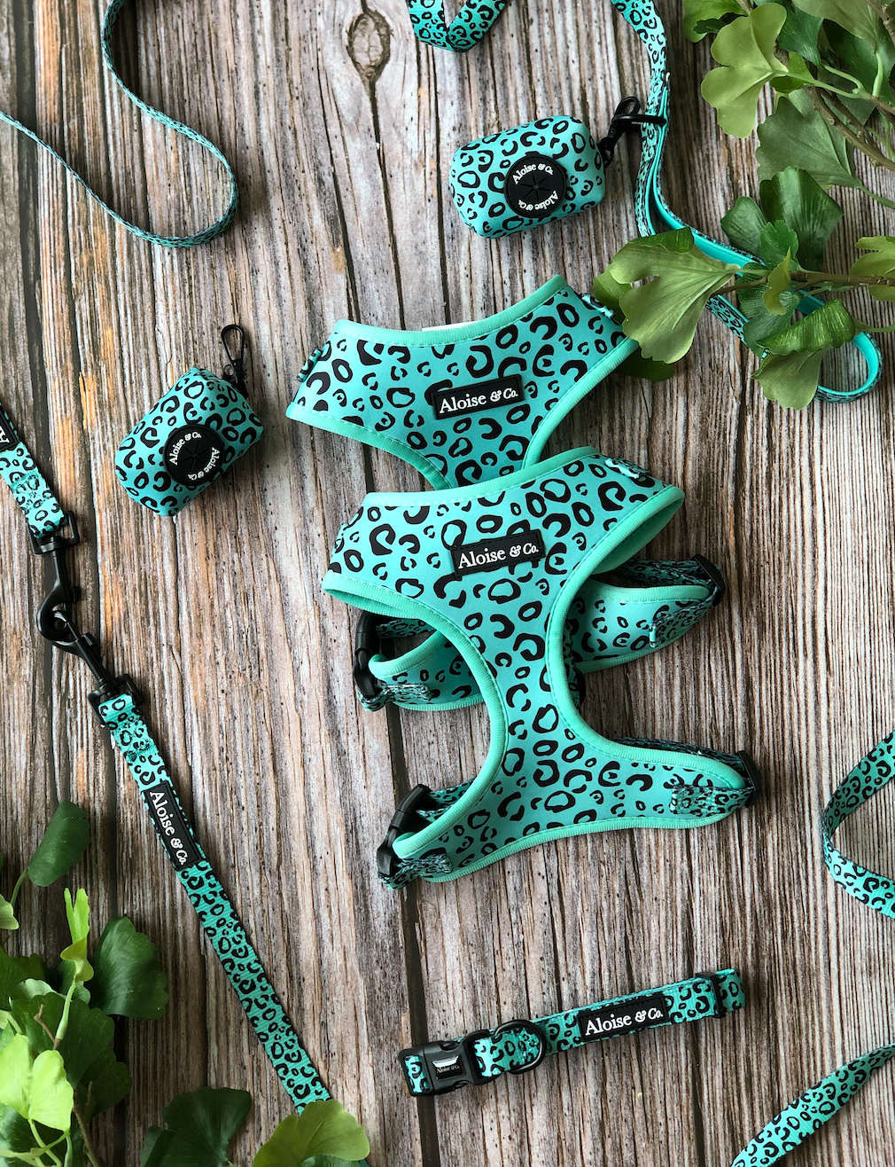 Mint dog harness// puppy harness
