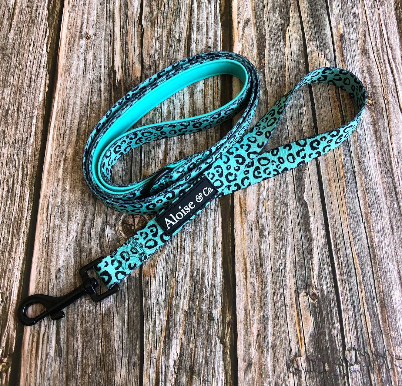 Dog lead - minty Madness