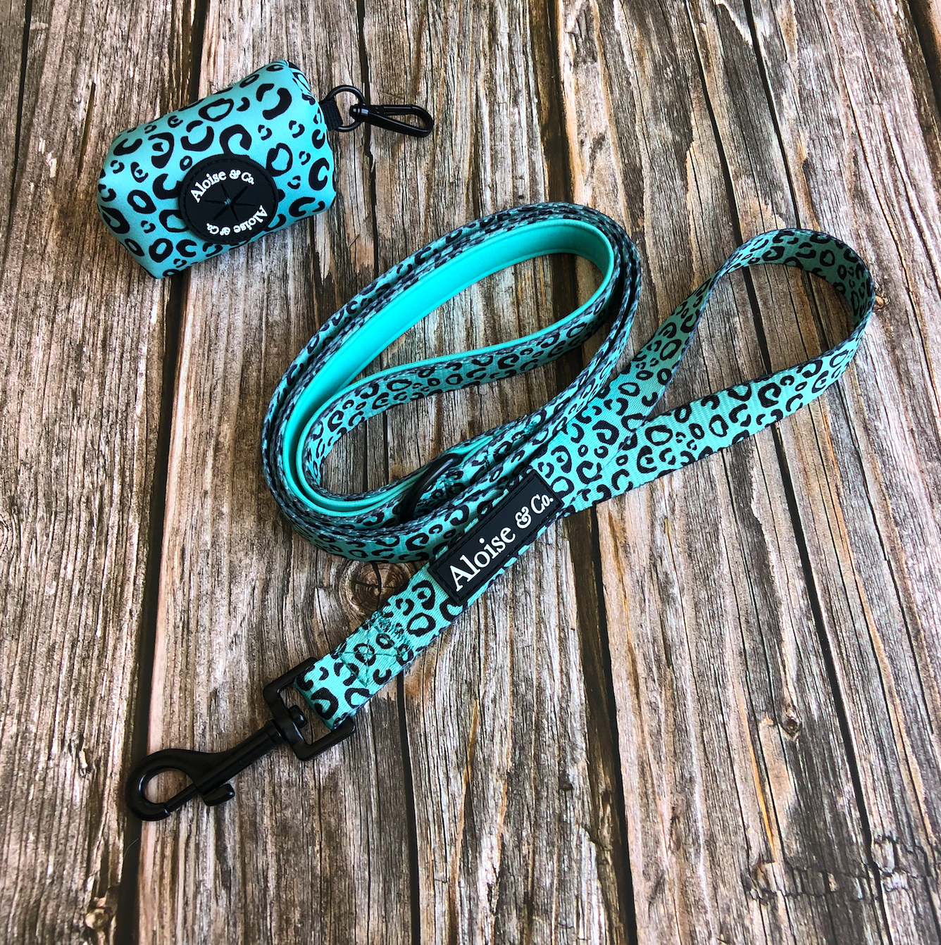Dog lead - minty Madness