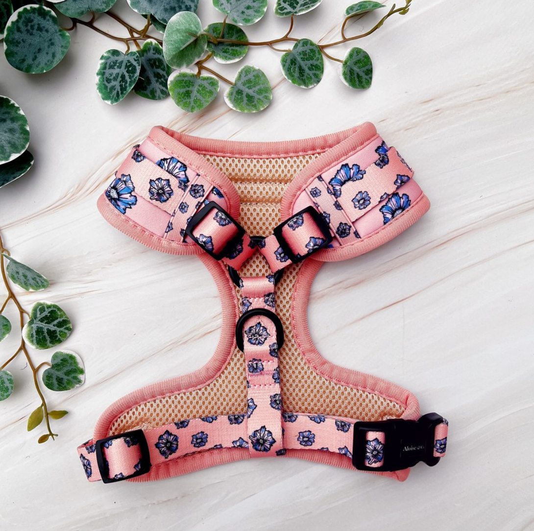 Adjustable Dog Harness - Blooming Blossom