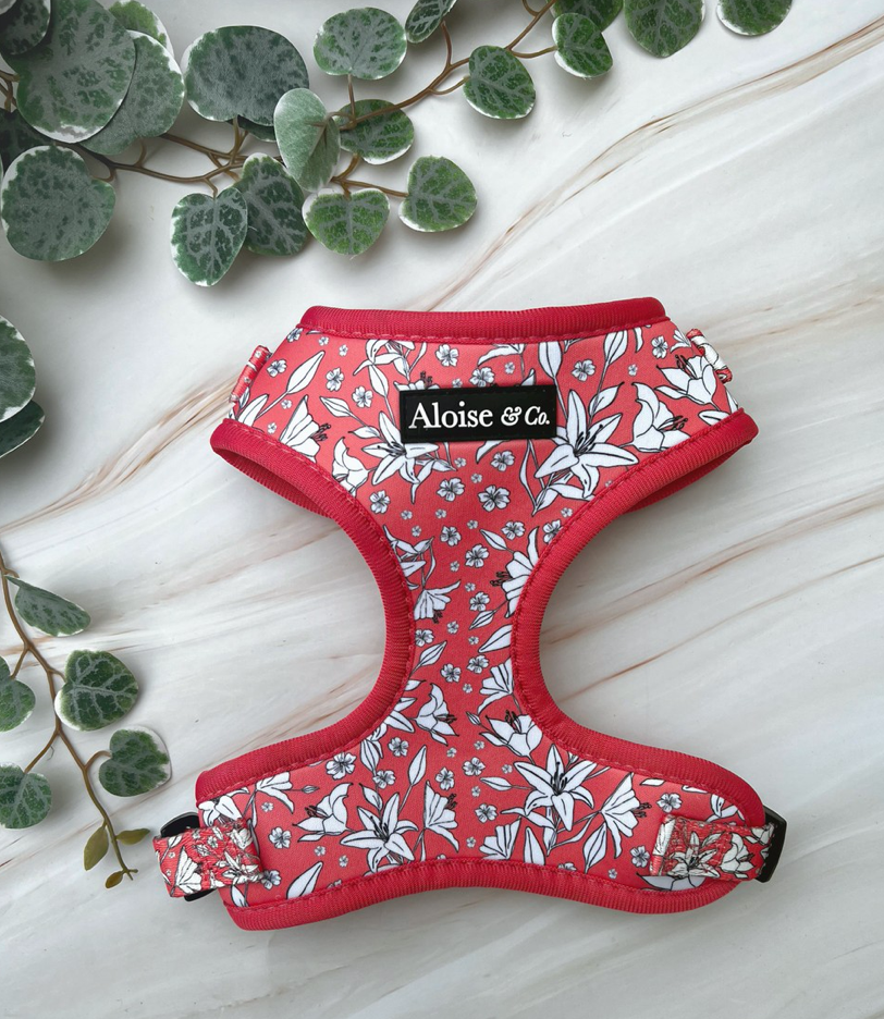 Adjustable Dog Harness - Little lilies
