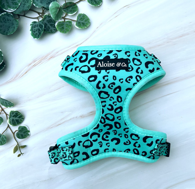 Adjustable Dog Harness - Minty Madness