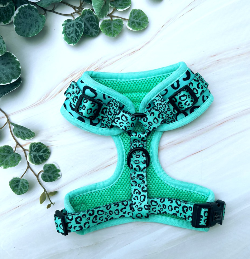 Adjustable Dog Harness - Minty Madness