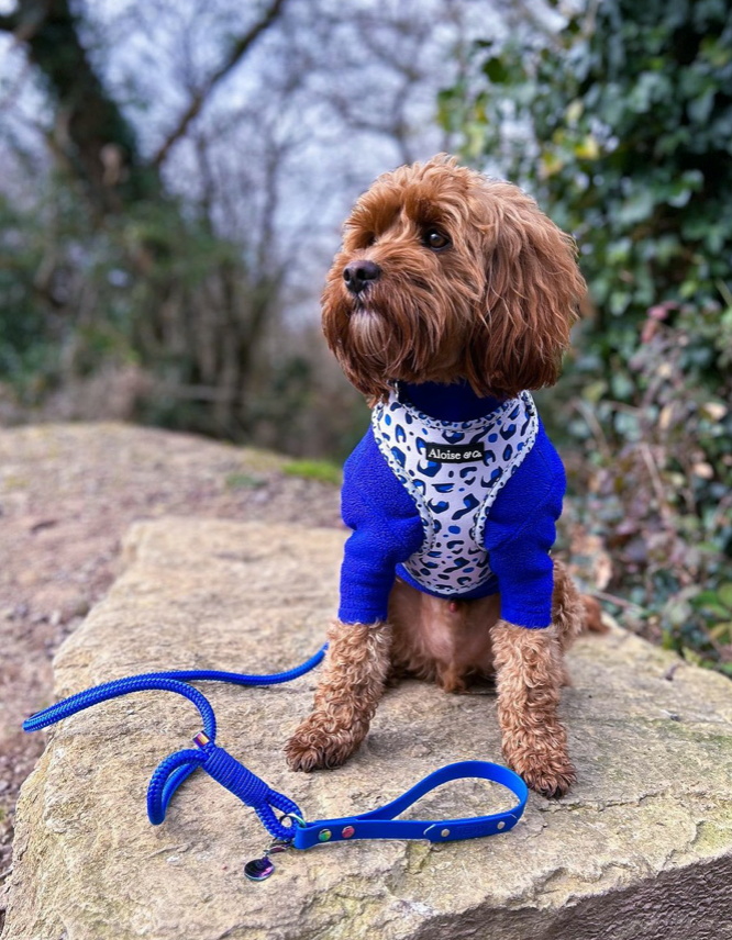 Adjustable Dog Harness - White Leopard
