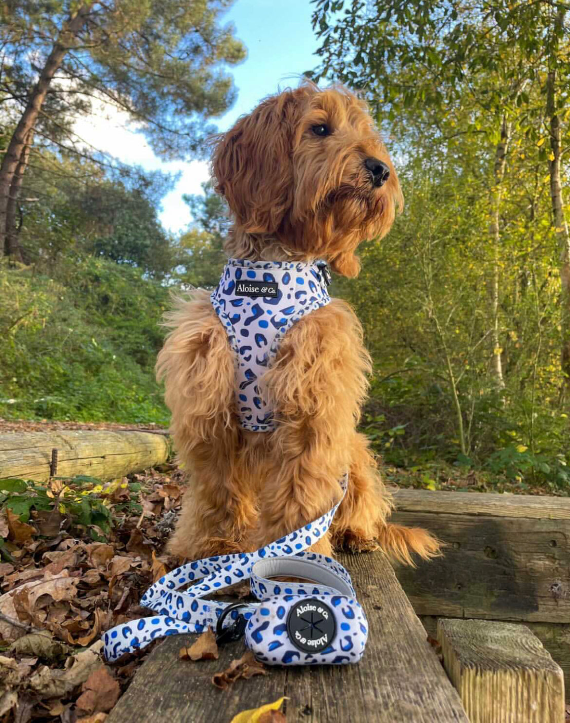 Adjustable Dog Harness - White Leopard