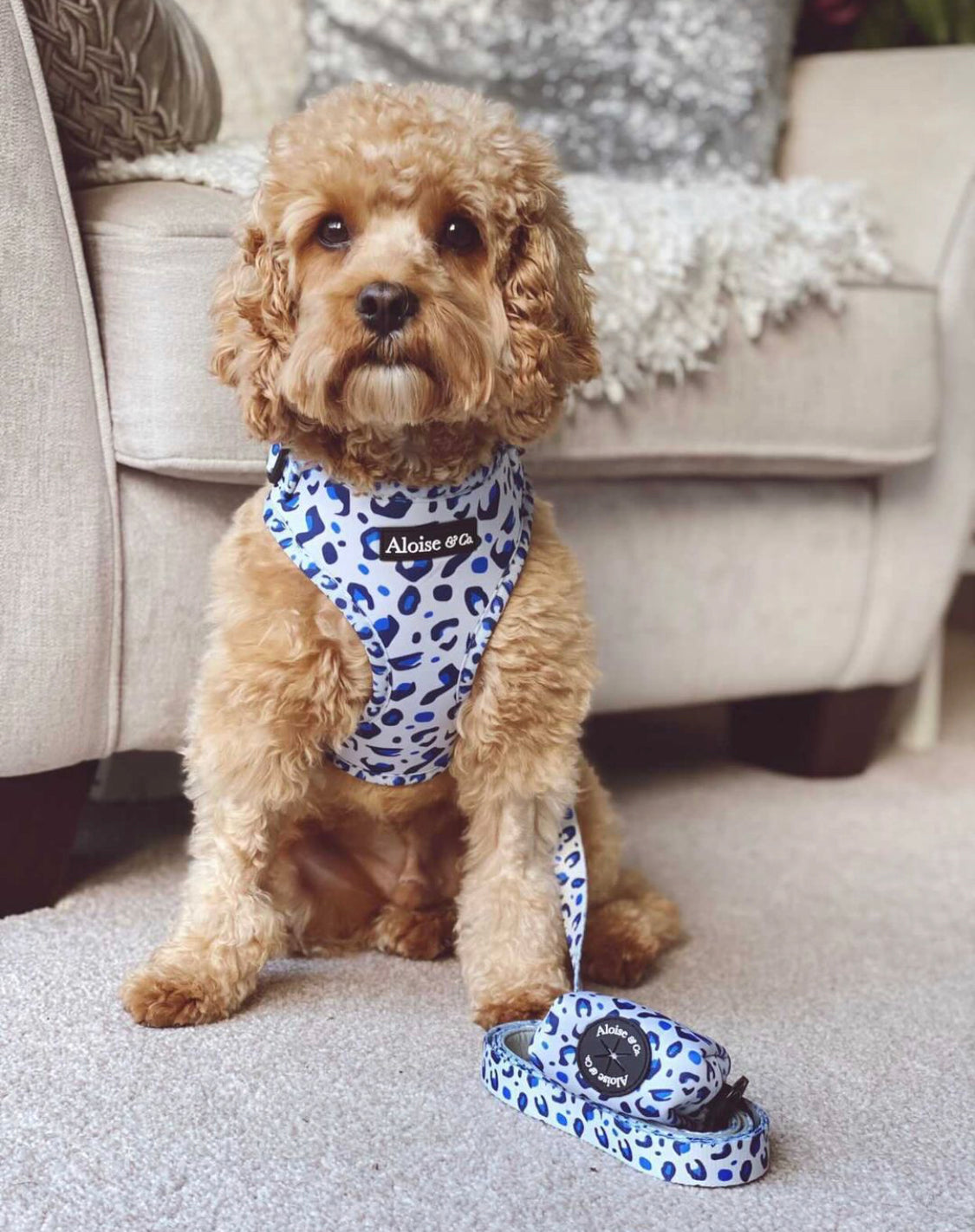 Adjustable Dog Harness - White Leopard
