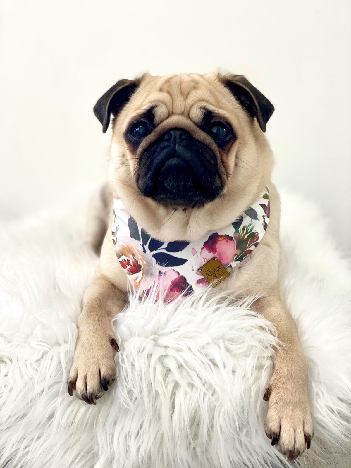 Winter Floral Bandana