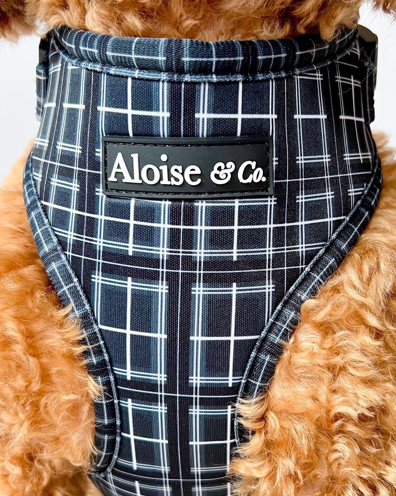 Adjustable Dog Harness - Black Tartan Classic