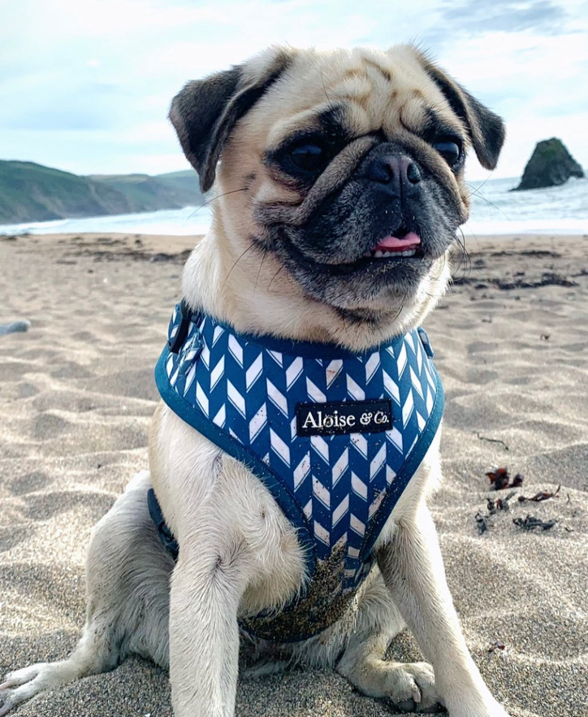 Adjustable Dog Harness - Handsome in Herringbone