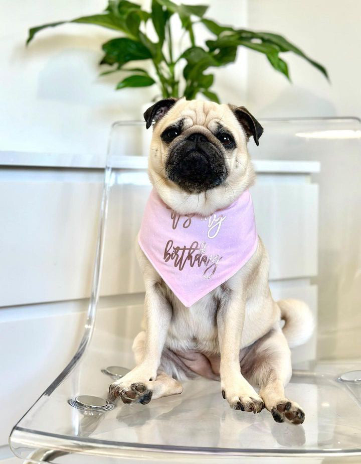 Birthday Bandana