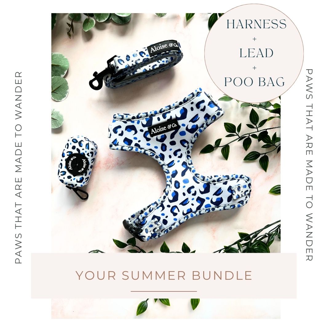 White Leopard Harness - Bundle!