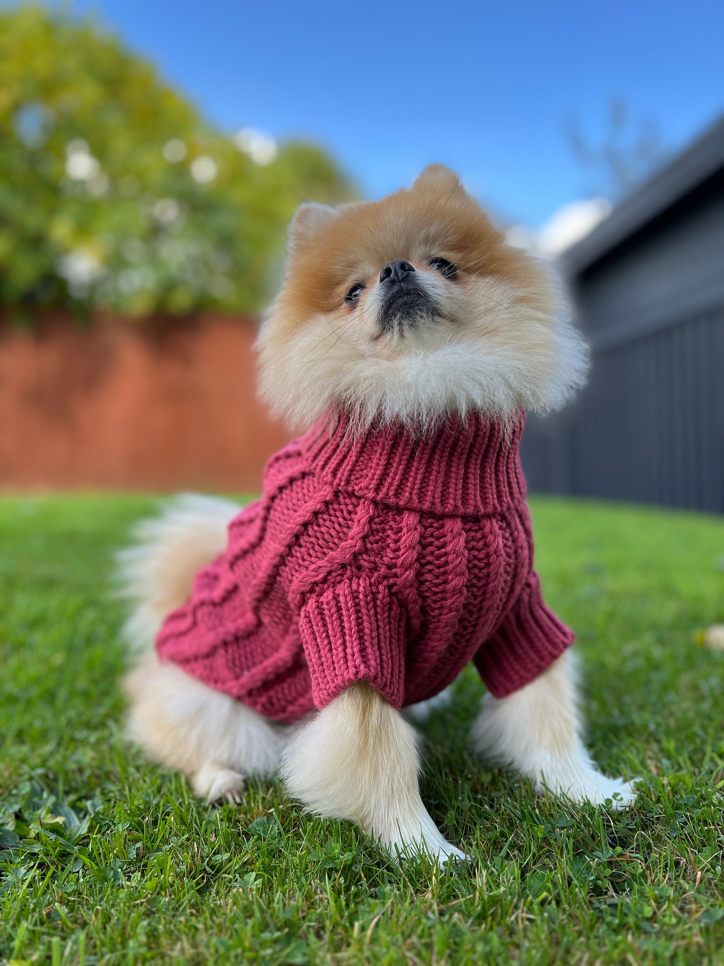 Dog Jumper - Mulberry