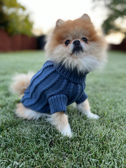 Dog Jumper - Navy