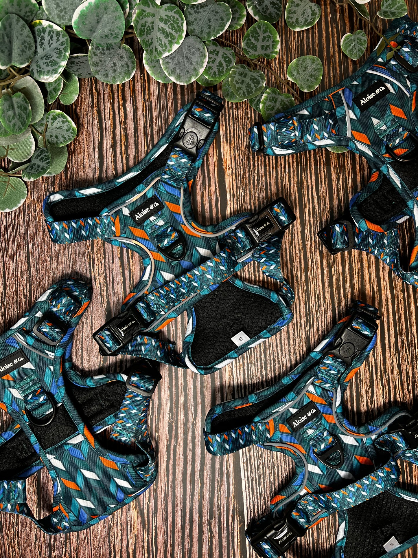 Made to Wander - 'Sunsets'