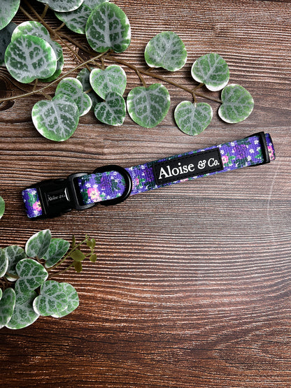 Purple Pansie Complete Set