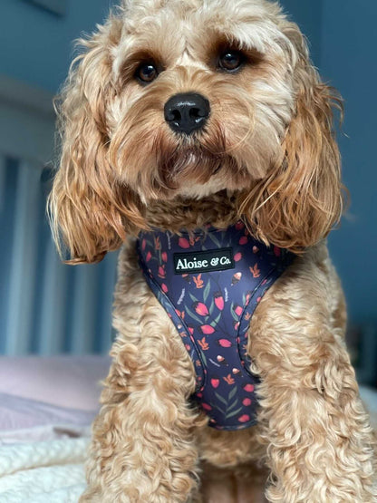 Adjustable Dog Harness - Very Berry
