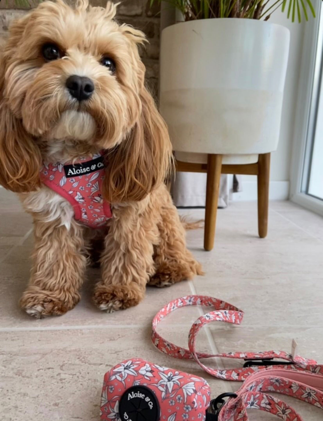 Adjustable Dog Harness - Little lilies
