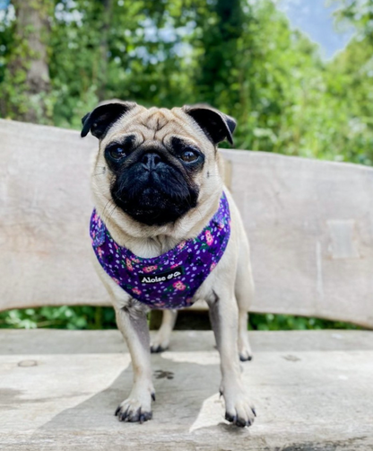 Adjustable Dog Harness - Purple Pansies